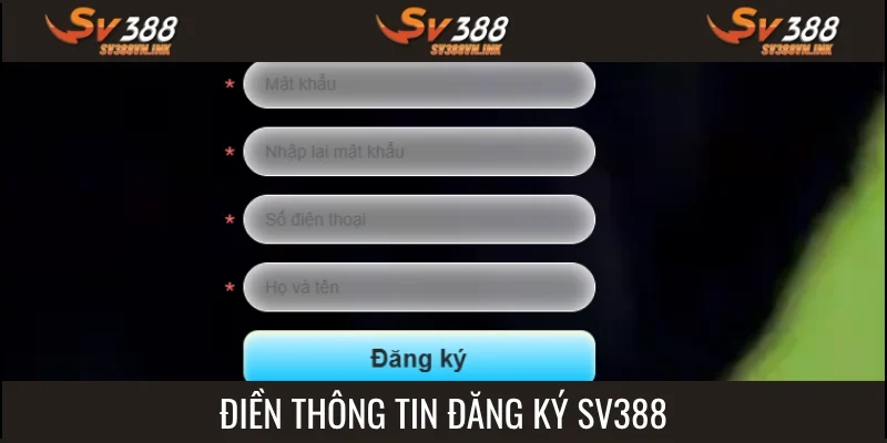 Nhập đúng thông tin vào trường trống tại mục đăng ký SV388